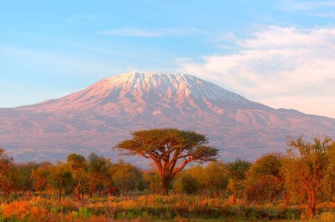 Kilimanjaro